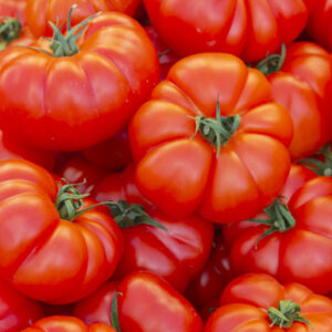 Organic Tomato Marmande Superprecoce