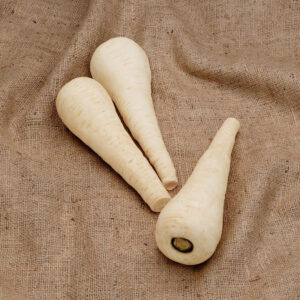 Parsnip Gladiator F1