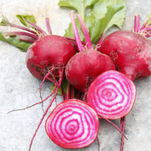 Organic Italian Heirloom Beetroot Chioggia
