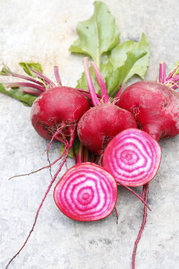Organic Italian Heirloom Beetroot Chioggia