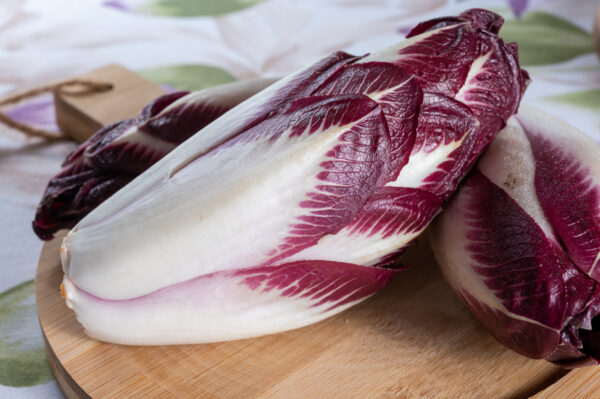 Chicory - Red Rossa Di Treviso 206TT