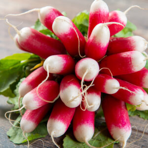 Organic Radish French Breakfast 2