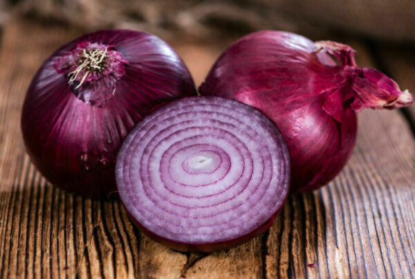 Onion - Red Creole