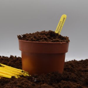 Plastic yellow plant / seed labels 4 inch - 50 or 100