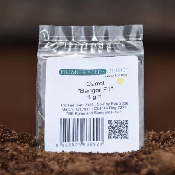 Carrot Bangor F1 - Image 2