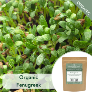 Organic Fenugreek - Microgreen/Sprouting