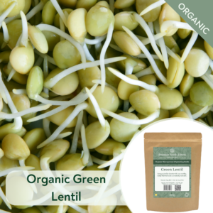 Organic Green Lentil - Microgreen/Sprouting