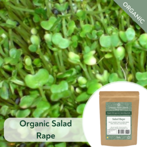 Organic Salad Rape - Microgreen/Sprouting