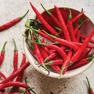Dwarf Pepper Hot - Reggae
