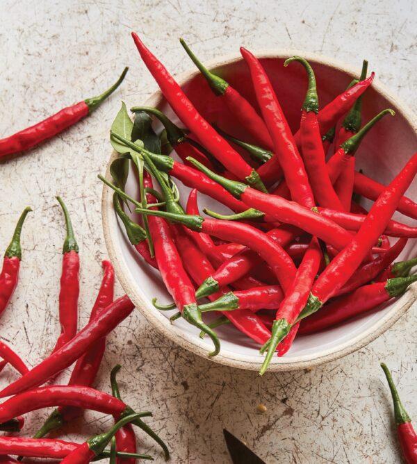 Dwarf Pepper Hot - Reggae