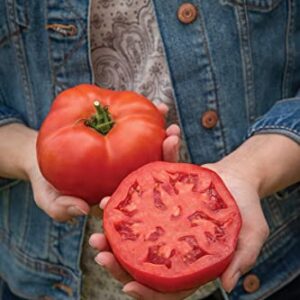 Tomato - Burlesque