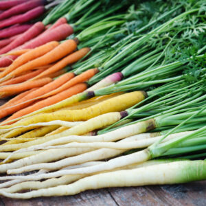 bunches of rainbow carrots in purple, red, orange, yellow and white colours