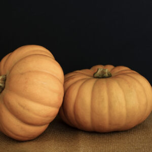 Squash Autumn Crown F1