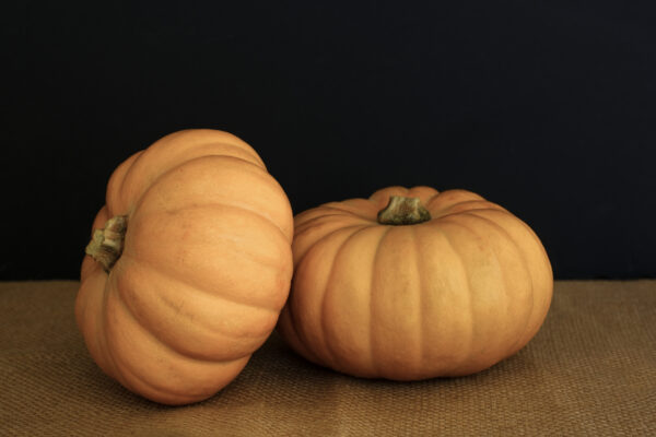 Squash Autumn Crown F1