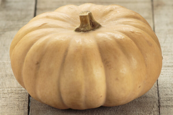 Squash Autumn Crown F1 - Image 2