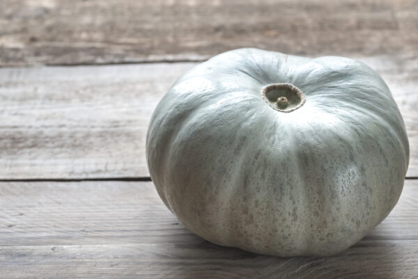 Squash Crown Prince F1 - Image 2
