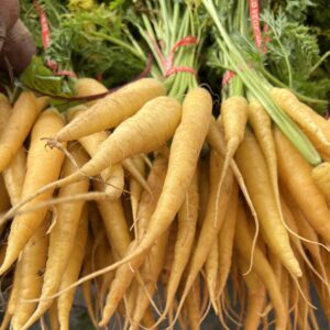 bunches of long, narrow, yellow carrots with pale green stems