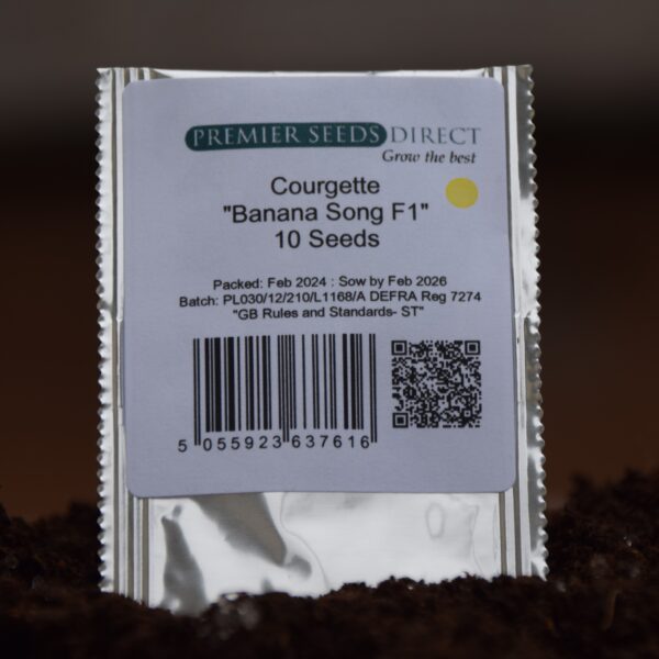Courgette Banana Song F1 - Image 3
