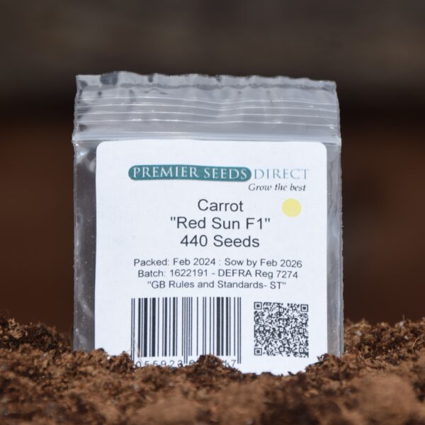 Carrot Red Sun F1 - Image 3
