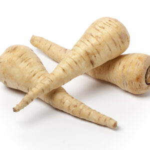 Parsnip - Guernsey