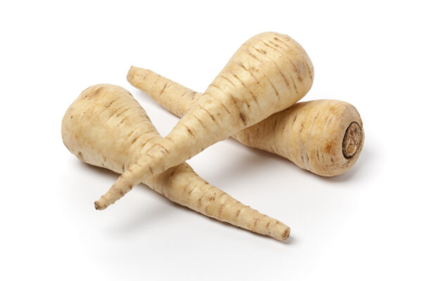 Parsnip - Guernsey