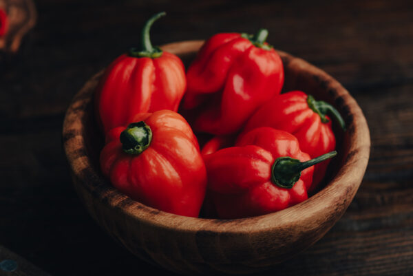 Hot Chilli Pepper- Habanero Red - Image 2