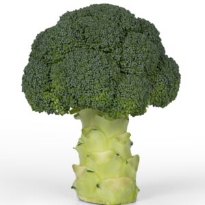 Broccoli / Calabrese Parthenon F1