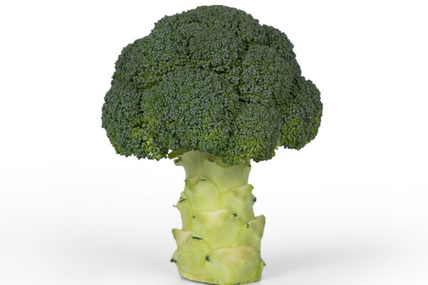 Broccoli / Calabrese Parthenon F1