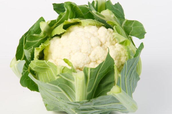 Cauliflower White Step F1 - Image 2