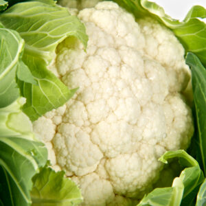 Cauliflower White Step F1