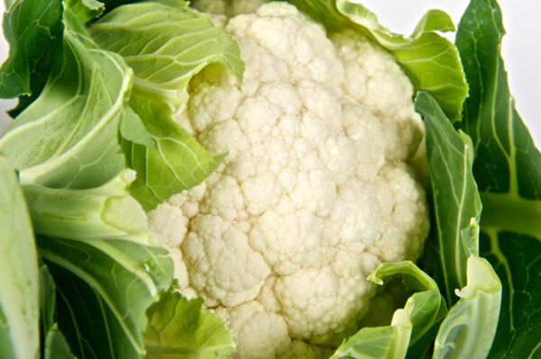 Cauliflower White Step F1