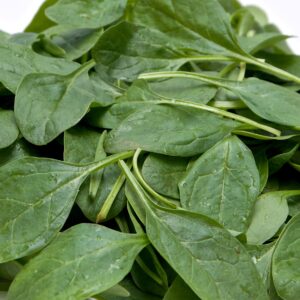 Spinach Helios F1