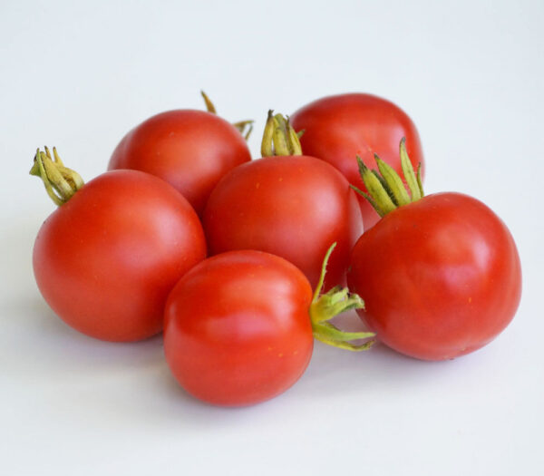 Tomato Outdoor Girl Early new - Image 2