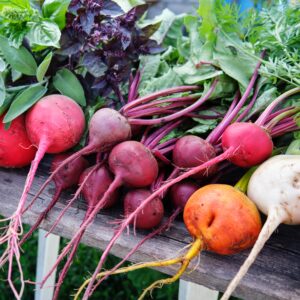Beetroot Rainbow Mix