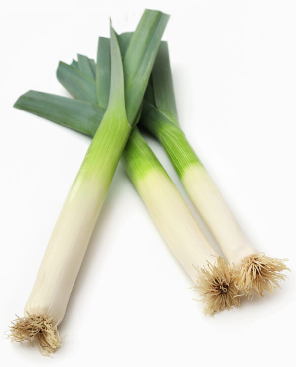 Organic Italian Leek Carentan 2 - Image 2