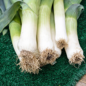 Organic Vegetable Leek Elefant