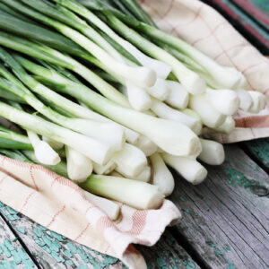 Organic Onion Bunching (Spring) White Lisbon