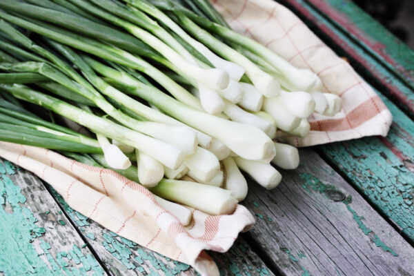 Organic Onion Bunching (Spring) White Lisbon