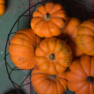 Pumpkin - Organic