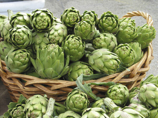 Artichoke Italian Green Globe - Image 2