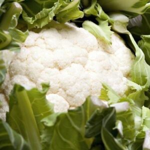 Cauliflower Igloo Early Variety