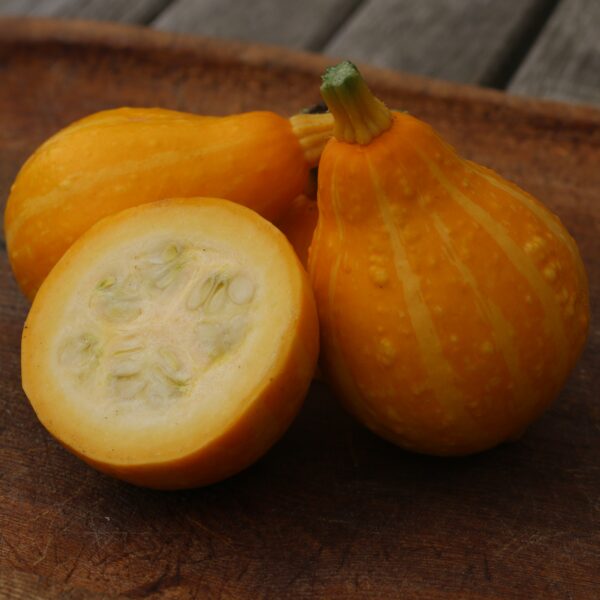 Squash Summer Lemon - Image 2