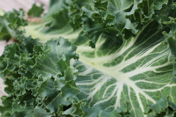 Kale Emerald Ice - Image 2