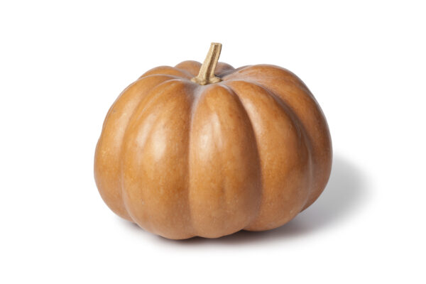 Organic Squash Muscade De Provence - Image 2