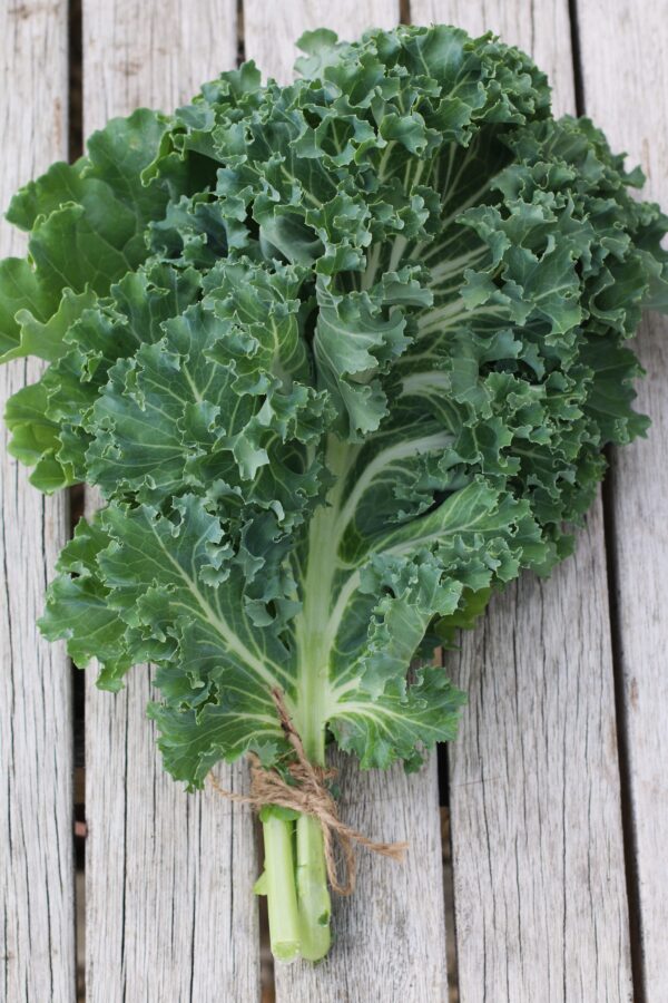 Kale Emerald Ice