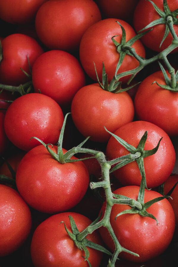Tomato Sparta F1 - Image 2