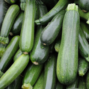 Organic Italian Courgette Verde Di Milano