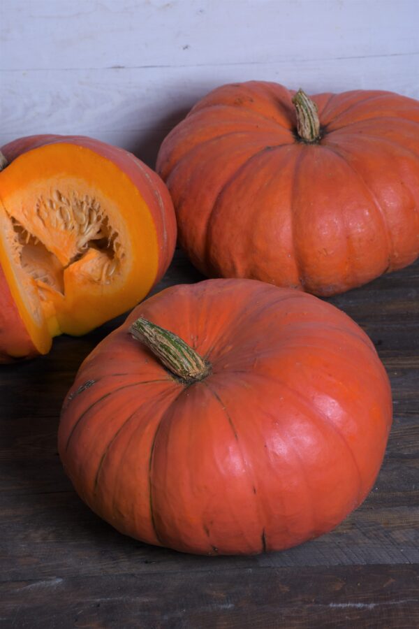 Squash - Pumpkin Rouge Vif D’Etampes - Image 2