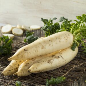 Radish Daikon Mooli Japana F1