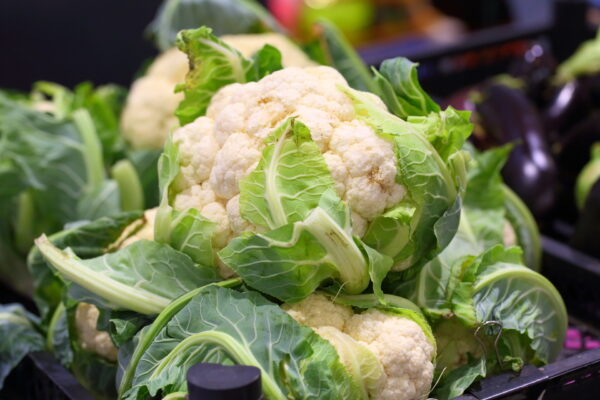 Organic Cauliflower Snowball